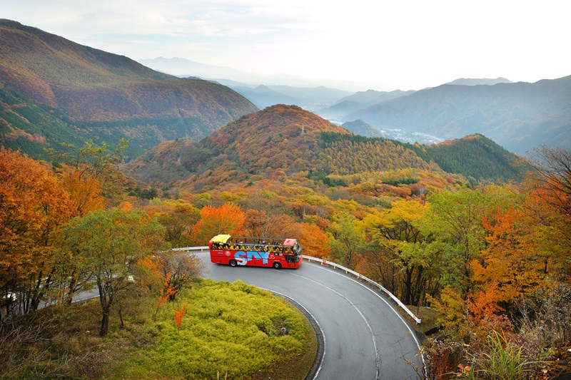 界 ⽇光】オープンバスで行く早朝の「紅葉狩り」 | 株式会社ウエストプラン